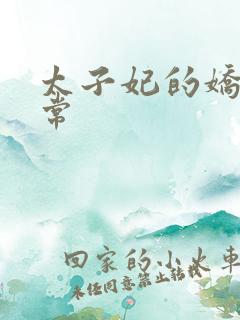 太子妃的娇宠日常