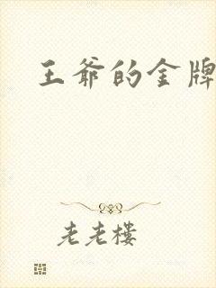 王爷的金牌暗卫