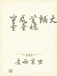 穿成首辅大人的童养媳