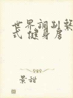 世界调制系统模式 健身房