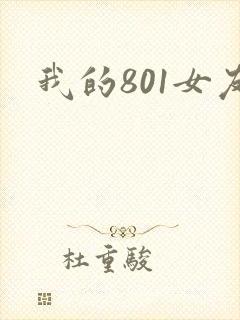 我的801女友