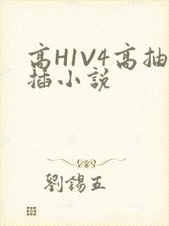 高H1V4高抽插小说