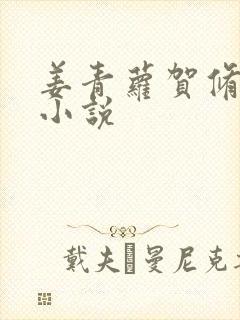 姜青萝贺修竹的小说