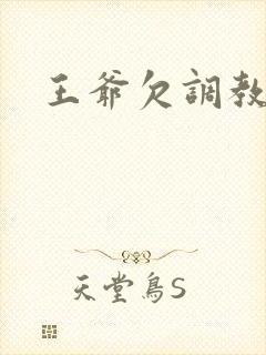 王爷欠调教