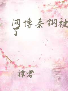 网传秦钢被打死了