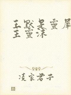 王默是灵犀阁公主灵沫