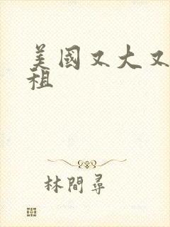 美国又大又长又租