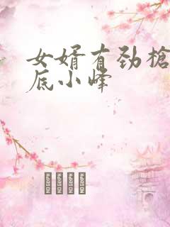 女婿有劲枪枪到底小峰