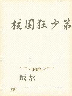 校园狂少第二部