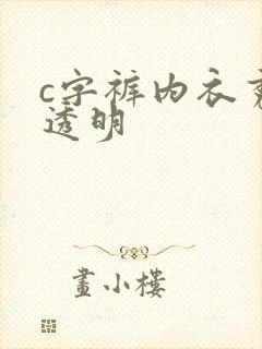 c字裤内衣秀全透明