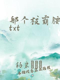 那个校霸腰好软txt