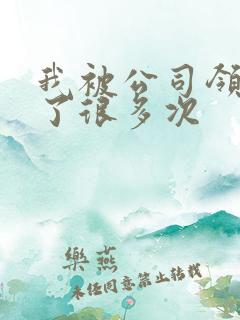 我被公司领导C了很多次