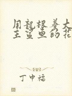 用龙根养大的公主鲨鱼的花