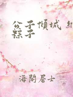 公子倾城 维和粽子