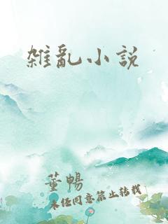 杂乱小说