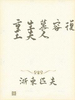 重生慕容复之弄王夫人