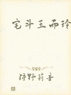 宅斗玉面玲珑