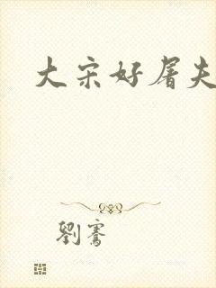 大宋好屠夫