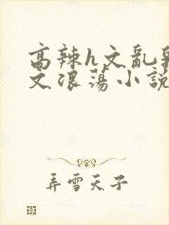 高辣h文乱乳h文浪荡小说苏媚