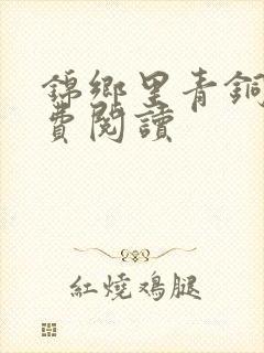 锦乡里青铜穗免费阅读