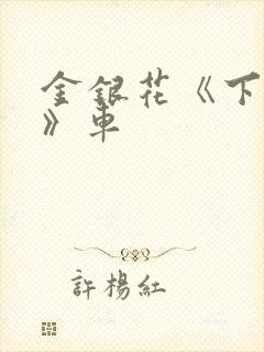 金银花《下厨房》车