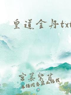 皇道金丹txt