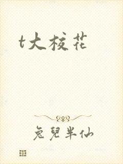t大校花