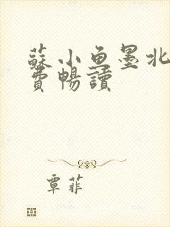 苏小鱼墨北枭免费畅读