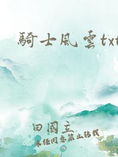 骑士风云txt