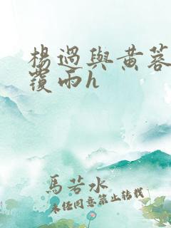 杨过与黄蓉翻云覆雨h