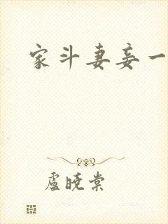 家斗妻妾一家欢