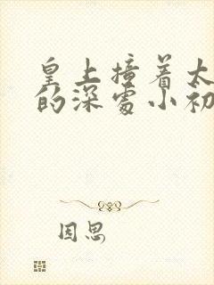 皇上撞着太子妃的深处小初