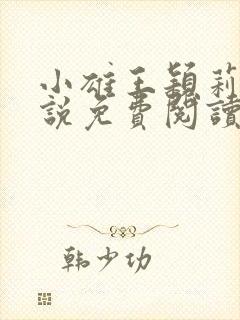 小雄王颖莉的小说免费阅读全文