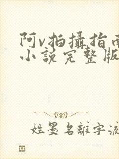 阿v拍摄指南说小说完整版