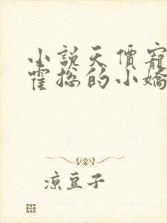 小说天价宠妻:霍总的小娇妻