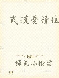 武汉爱情往事
