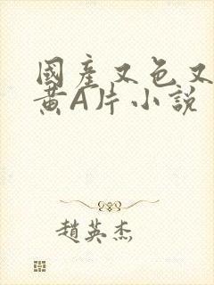 国产又色又爽又黄A片小说