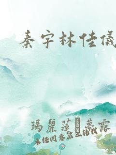 秦宇林佳仪小说