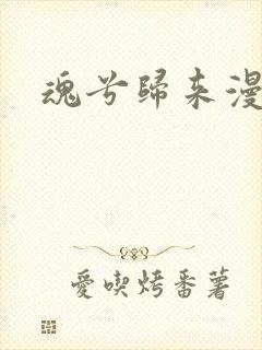 魂兮归来漫蒹葭