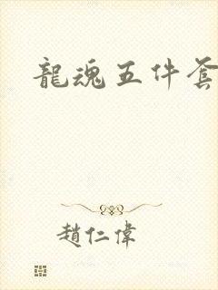 龙魂五件套