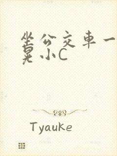 坐公交车一摇一晃小C