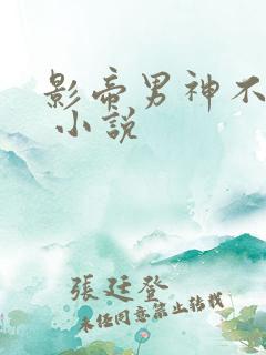 影帝男神不节制 小说
