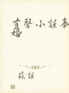 有声小说奉子成婚