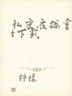 私密夜总会txt下载