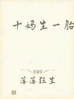 十妈生一胎