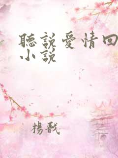 听说爱情回来过小说
