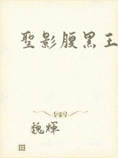 圣影腹黑王子帮