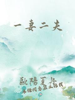 一妻二夫