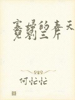 寡妇的春天白花儿刘三斤