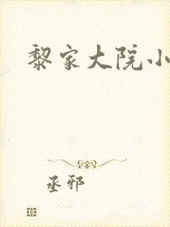 黎家大院小说